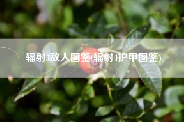 辐射3敌人图鉴(辐射4护甲图鉴)