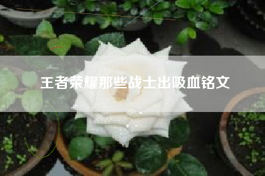 王者荣耀那些战士出吸血铭文