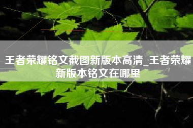 王者荣耀铭文截图新版本高清_王者荣耀新版本铭文在哪里