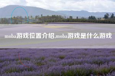 moba游戏位置介绍,moba游戏是什么游戏