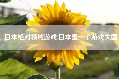 日本绝对领域游戏,日本是一个游戏大国