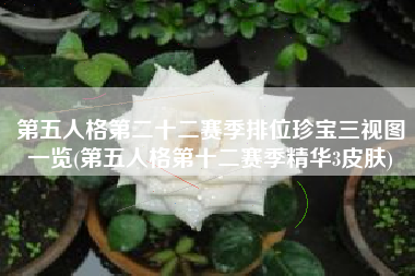 第五人格第二十二赛季排位珍宝三视图一览(第五人格第十二赛季精华3皮肤)