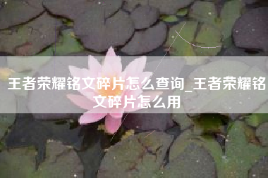 王者荣耀铭文碎片怎么查询_王者荣耀铭文碎片怎么用