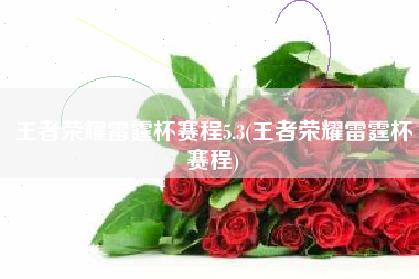王者荣耀雷霆杯赛程5.3(王者荣耀雷霆杯赛程)
