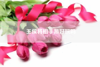 王侯将相手游好玩吗