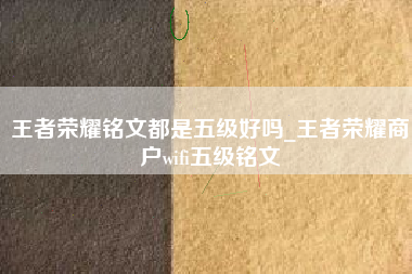 王者荣耀铭文都是五级好吗_王者荣耀商户wifi五级铭文