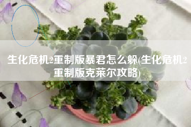生化危机2重制版暴君怎么躲(生化危机2重制版克莱尔攻略)