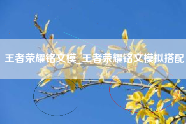 王者荣耀铭文模_王者荣耀铭文模拟搭配