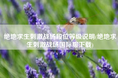 绝地求生刺激战场段位等级说明(绝地求生刺激战场国际服下载)