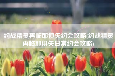 约战精灵再临耶俱矢约会攻略(约战精灵再临耶俱矢日常约会攻略)