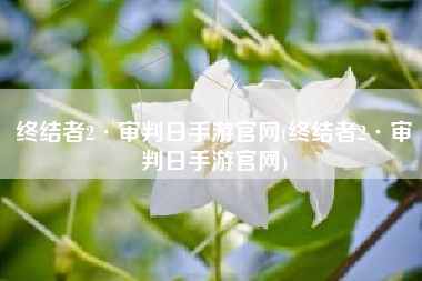 终结者2·审判日手游官网(终结者2·审判日手游官网)