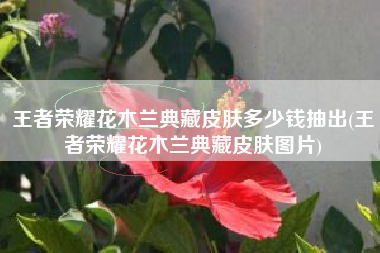 王者荣耀花木兰典藏皮肤多少钱抽出(王者荣耀花木兰典藏皮肤图片)