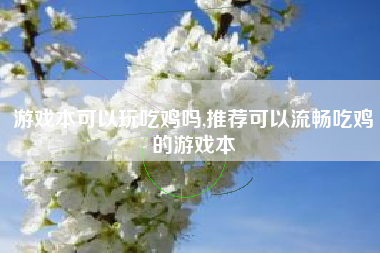 游戏本可以玩吃鸡吗,推荐可以流畅吃鸡的游戏本