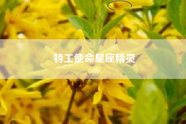 特工使命星座精灵