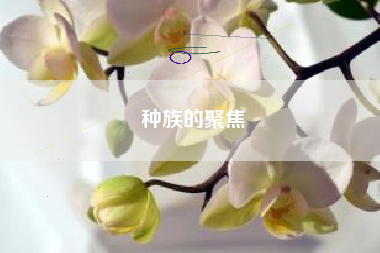 种族的聚焦