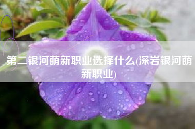第二银河萌新职业选择什么(深岩银河萌新职业)