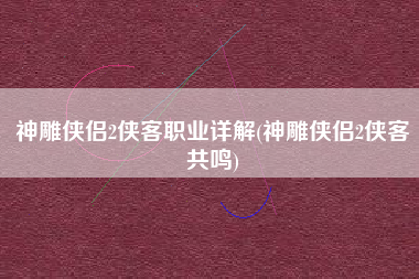 神雕侠侣2侠客职业详解(神雕侠侣2侠客共鸣)