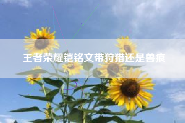 王者荣耀铠铭文带狩猎还是兽痕