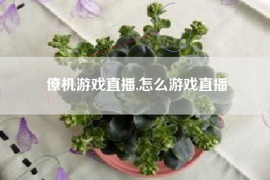 僚机游戏直播,怎么游戏直播