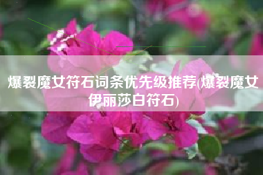 爆裂魔女符石词条优先级推荐(爆裂魔女伊丽莎白符石)
