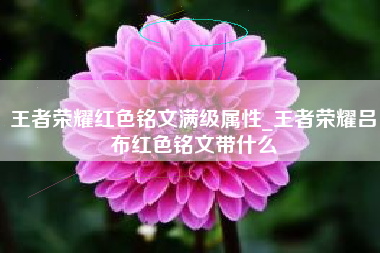 王者荣耀红色铭文满级属性_王者荣耀吕布红色铭文带什么