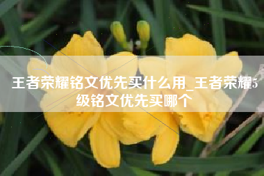 王者荣耀铭文优先买什么用_王者荣耀5级铭文优先买哪个