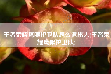 王者荣耀鹰眼护卫队怎么退出去(王者荣耀鹰眼护卫队)