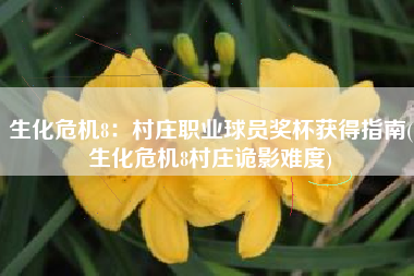 生化危机8：村庄职业球员奖杯获得指南(生化危机8村庄诡影难度)