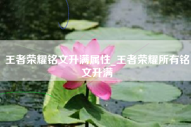 王者荣耀铭文升满属性_王者荣耀所有铭文升满