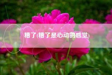 糟了(糟了是心动的感觉)