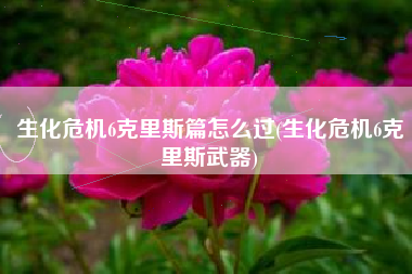 生化危机6克里斯篇怎么过(生化危机6克里斯武器)