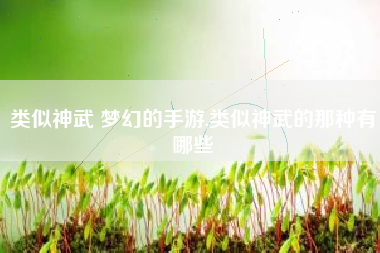 类似神武 梦幻的手游,类似神武的那种有哪些 类似神武 梦幻的手游,类似神武的那种有哪些