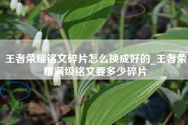王者荣耀铭文碎片怎么换成好的_王者荣耀满级铭文要多少碎片
