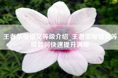 王者荣耀铭文等级介绍_王者荣耀铭文等级如何快速提升满级