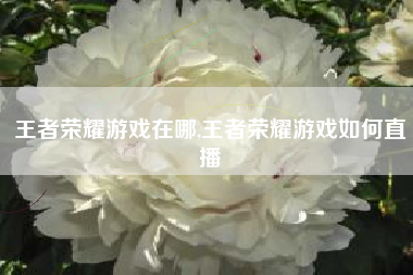 王者荣耀游戏在哪,王者荣耀游戏如何直播
