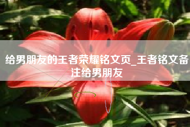给男朋友的王者荣耀铭文页_王者铭文备注给男朋友