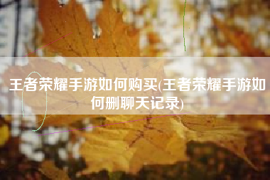 王者荣耀手游如何购买(王者荣耀手游如何删聊天记录)