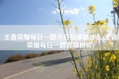 王者荣耀每日一题今日答案是什么(王者荣耀每日一题答案格式)
