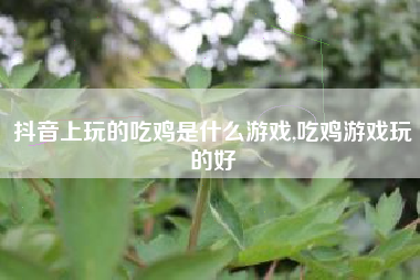 抖音上玩的吃鸡是什么游戏,吃鸡游戏玩的好