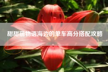 甜甜萌物语海边的单车高分搭配攻略