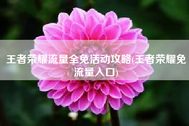 王者荣耀流量全免活动攻略(王者荣耀免流量入口)