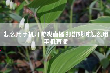 怎么用手机开游戏直播,打游戏时怎么用手机直播