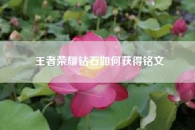 王者荣耀钻石如何获得铭文