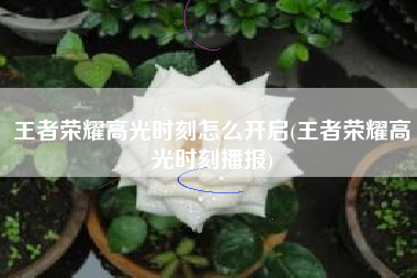 王者荣耀高光时刻怎么开启(王者荣耀高光时刻播报)