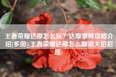 王者荣耀达摩怎么玩？达摩拳师攻略介绍[多图](王者荣耀达摩怎么取消大招后摇)