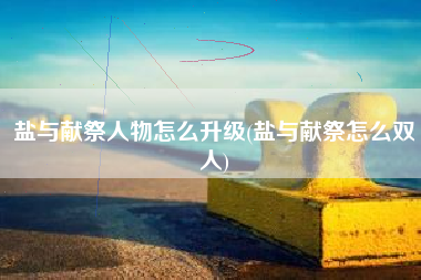 盐与献祭人物怎么升级(盐与献祭怎么双人)
