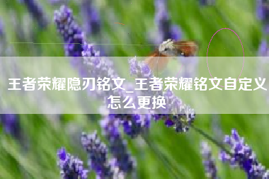王者荣耀隐刃铭文_王者荣耀铭文自定义怎么更换