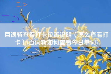 百词斩查看打卡位置说明（怎么查看打卡）(百词斩如何查看今日单词)