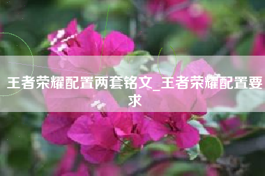 王者荣耀配置两套铭文_王者荣耀配置要求