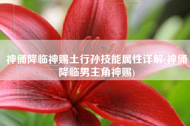 神俑降临神赐土行孙技能属性详解(神俑降临男主角神赐)